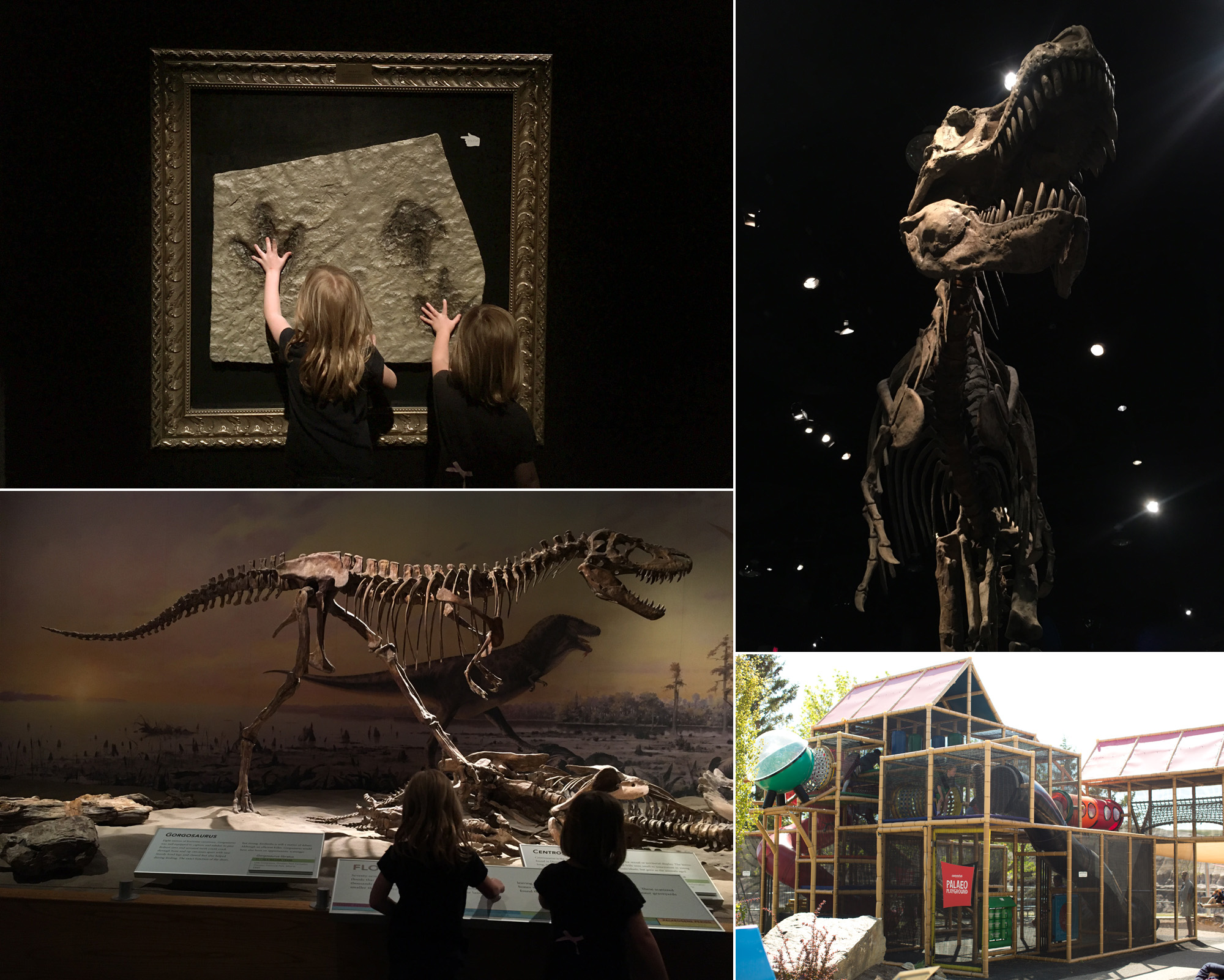 drumheller-museum-with-kids